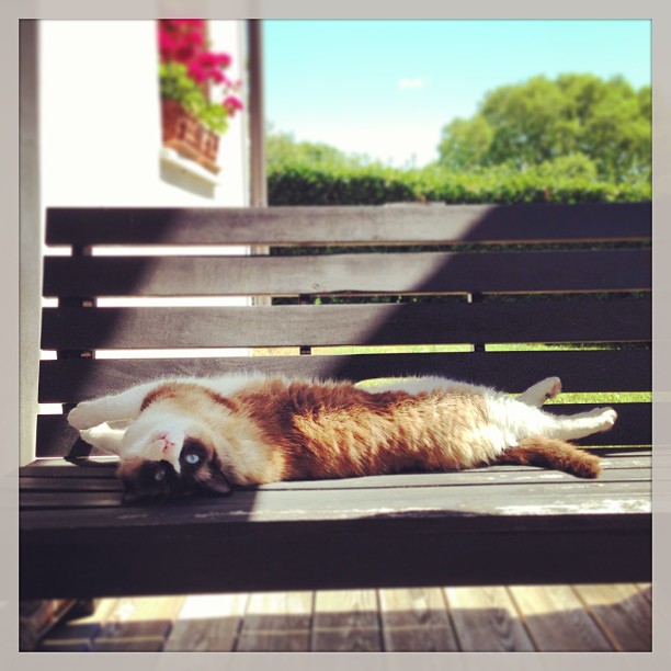 In the sun