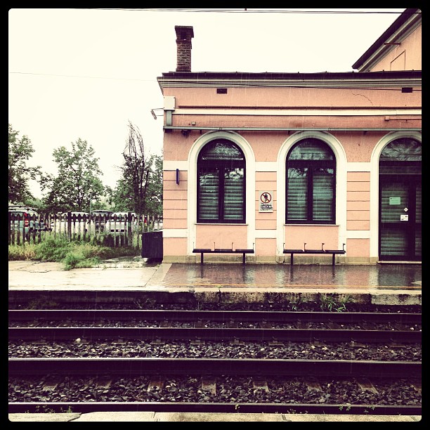Rainy sagrado