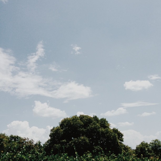 Sky #vscocam