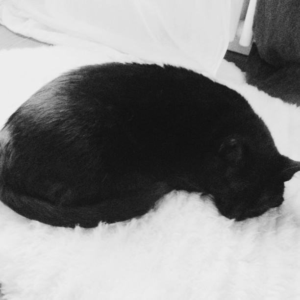 B/W #vscocam
