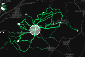 Walking patterns in our neighborhood